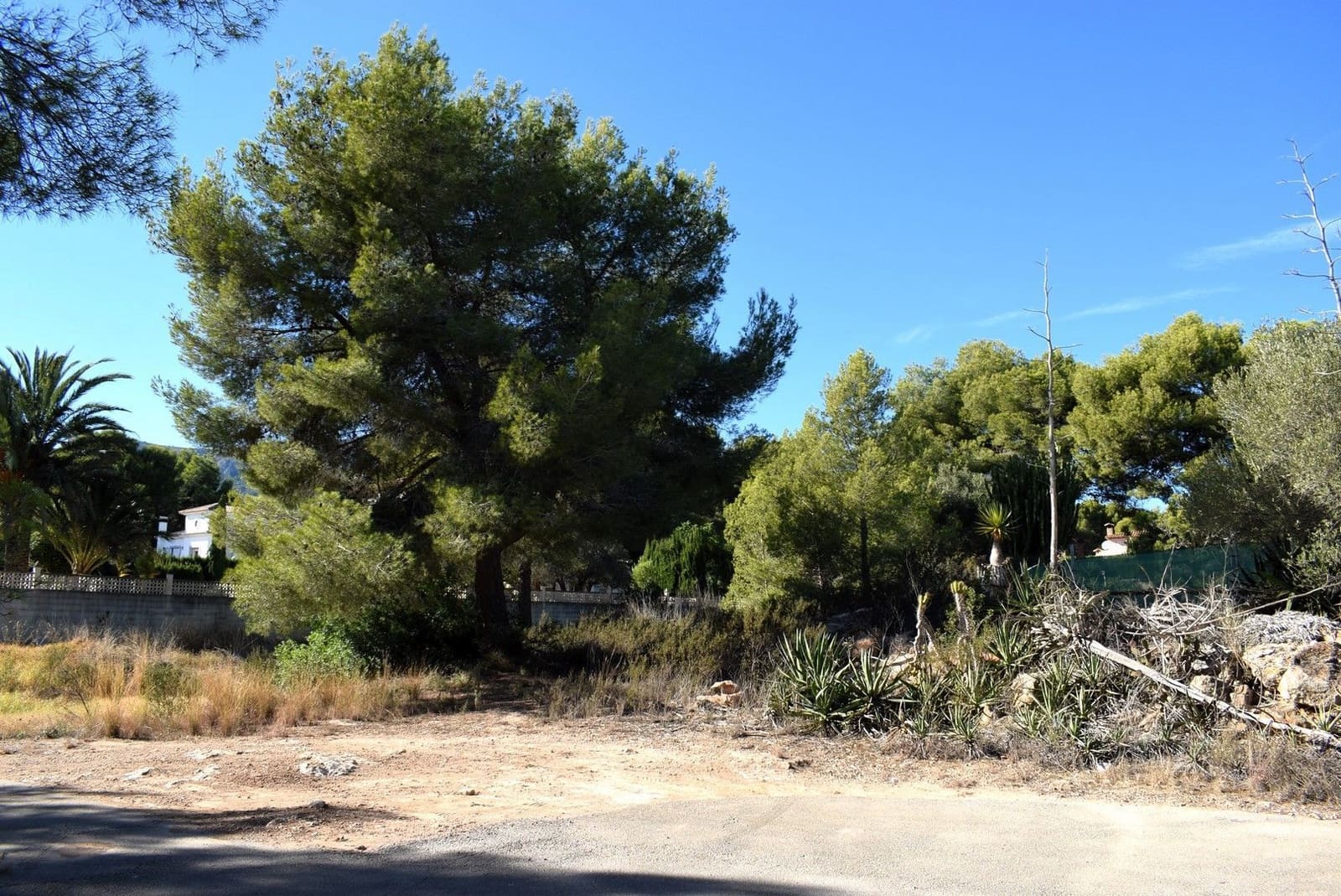 Building Plot for sale in Calpe / Calp - € 240,000 (Ref: 8801964)