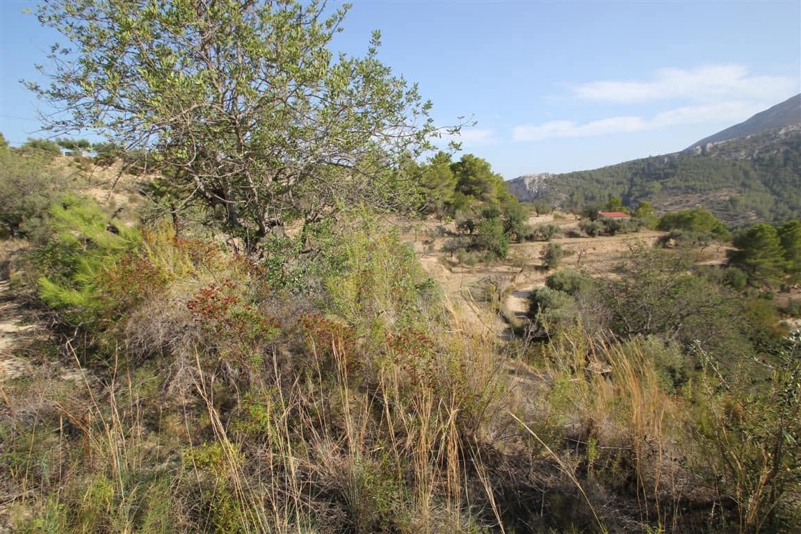 Area Edificabile in vendita in Benissa - 100.000 € (Rif: 8801982)