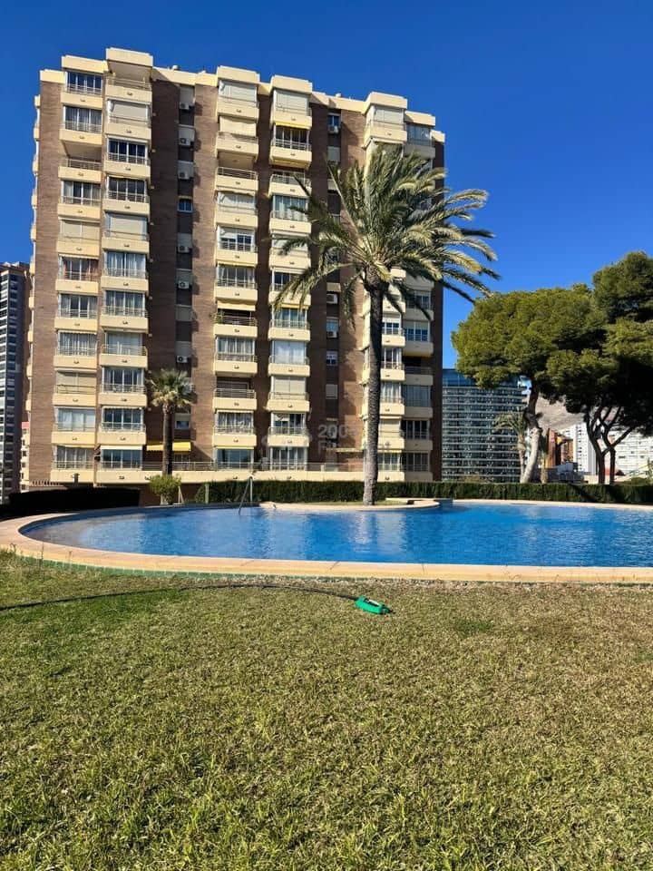 1 sovrum Lägenhet att hyra i Benidorm med pool - 850 € (Ref: 10062796)