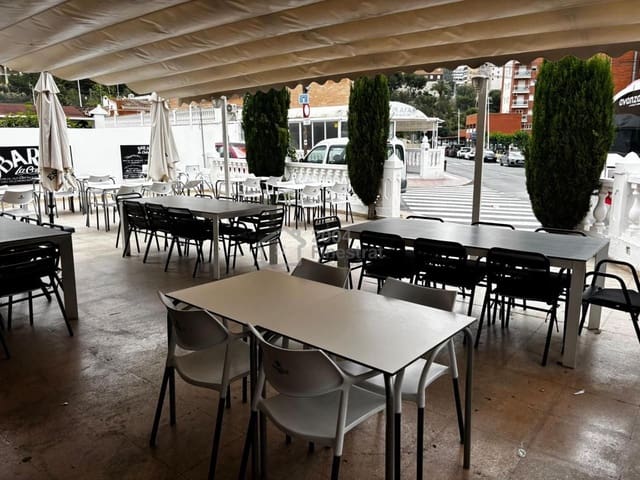 1 camera da letto Azienda da affittare in Benidorm - 1.300 € (Rif: 10167936)
