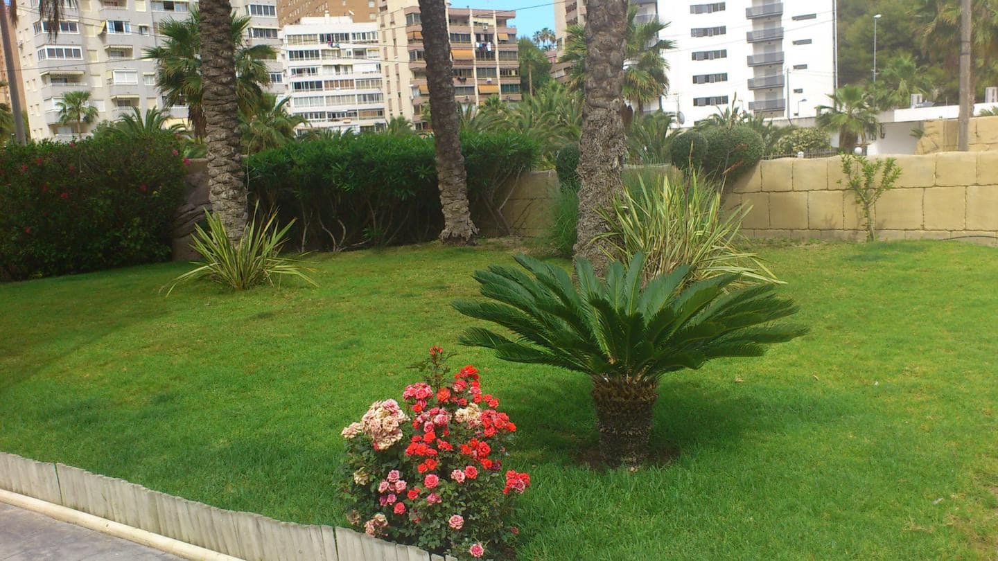 1 Zimmer Wohnung zu vermieten in La Villajoyosa / Vila Joiosa mit Pool - 850 € (Ref: 5679449)