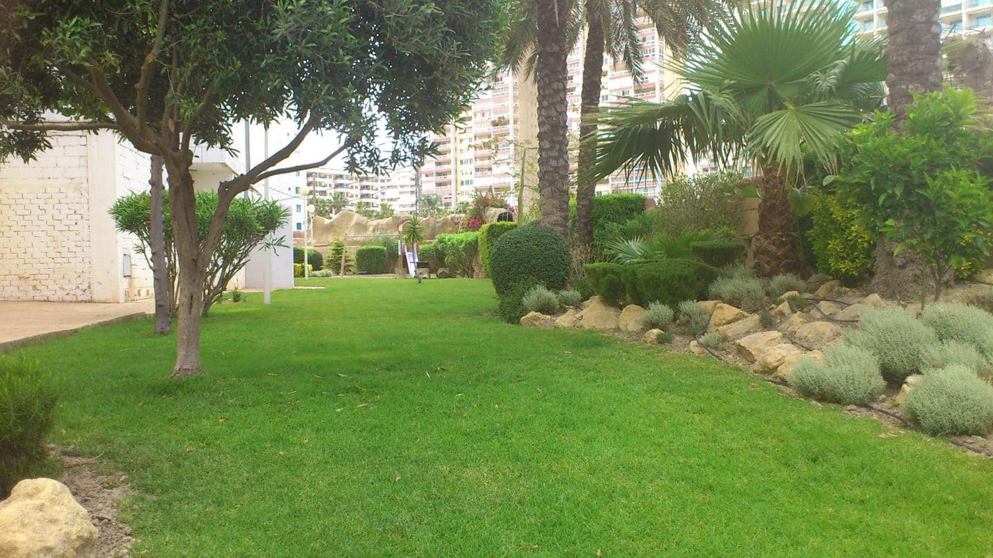 1 Zimmer Wohnung zu vermieten in La Villajoyosa / Vila Joiosa mit Pool - 850 € (Ref: 5679449)