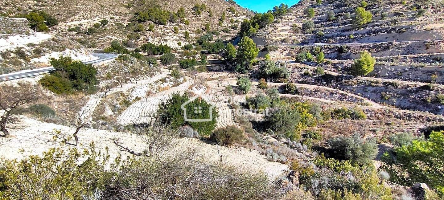 Ubebygd land til salgs i Relleu - € 35 000 (Ref: 7881225)