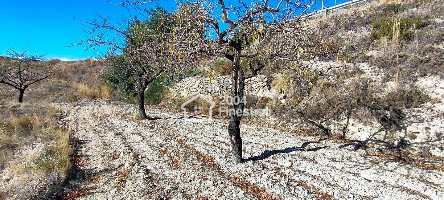 Ubebygd land til salgs i Relleu - € 35 000 (Ref: 7881225)