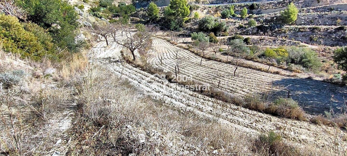 Ubebygd land til salgs i Relleu - € 35 000 (Ref: 7881225)