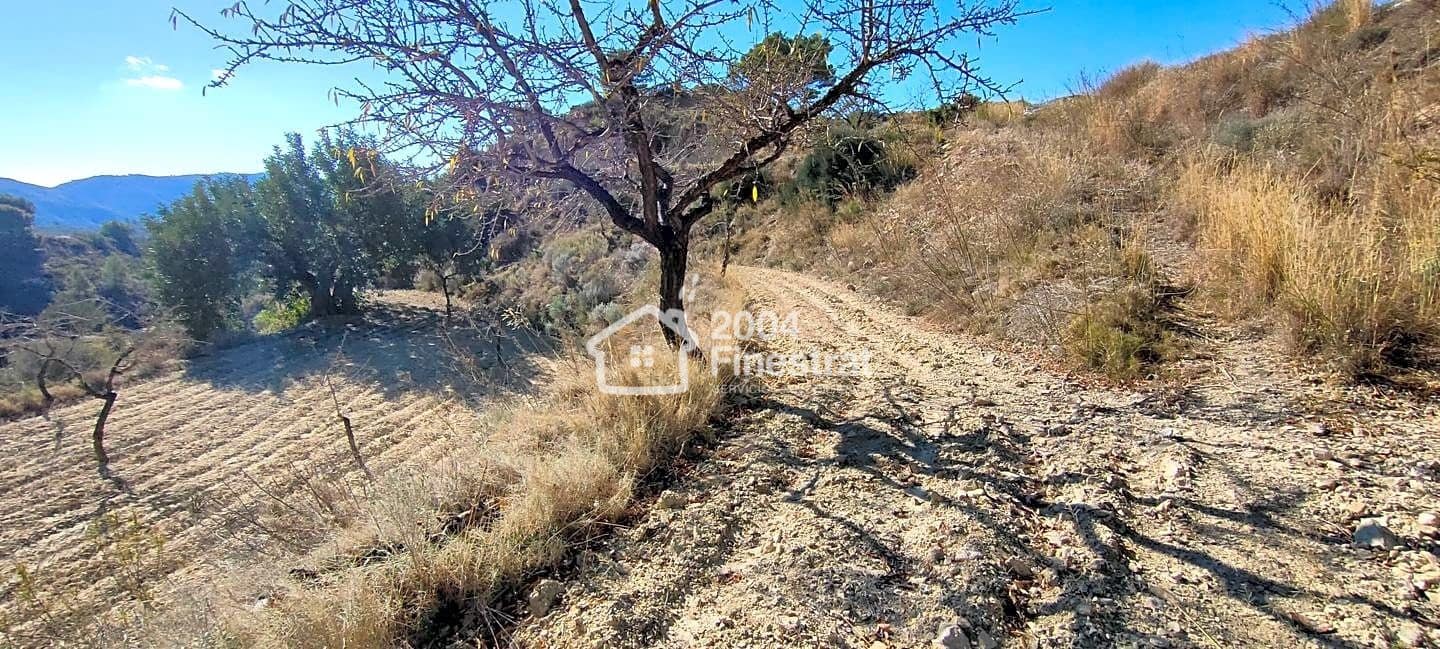 Ubebygd land til salgs i Relleu - € 35 000 (Ref: 7881225)