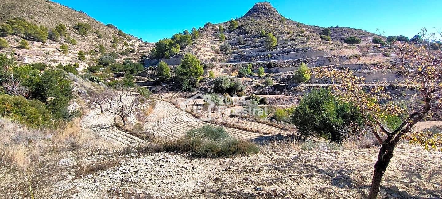 Ubebygd land til salgs i Relleu - € 35 000 (Ref: 7881225)