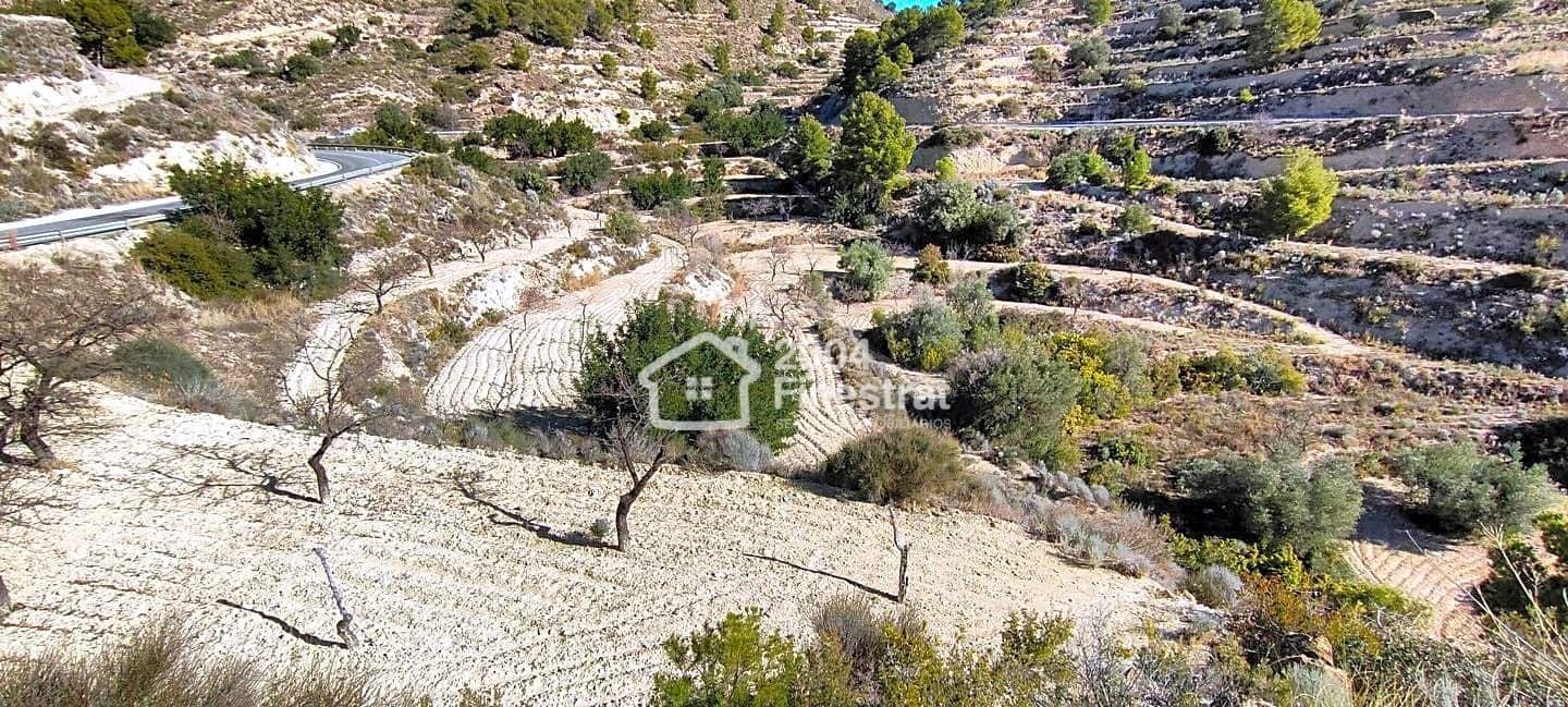 Ubebygd land til salgs i Relleu - € 35 000 (Ref: 7881225)