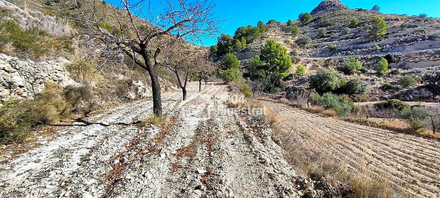 Ubebygd land til salgs i Relleu - € 35 000 (Ref: 7881225)