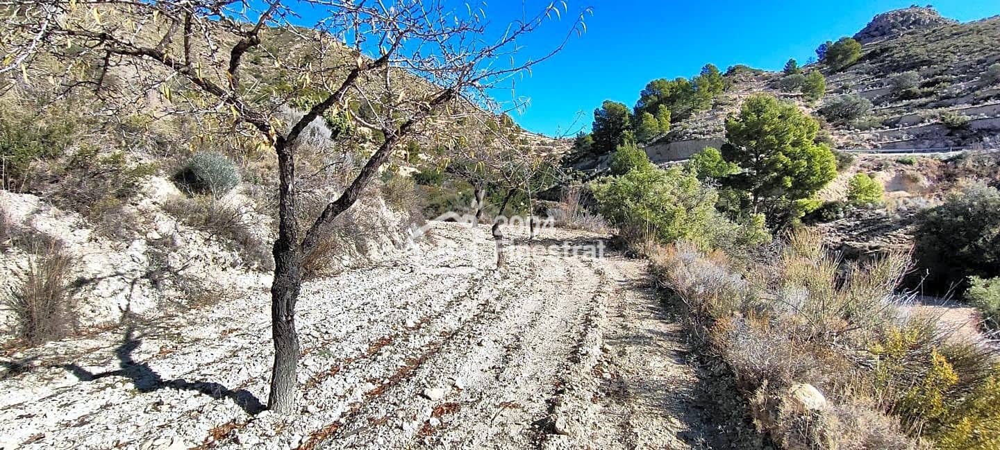 Ubebygd land til salgs i Relleu - € 35 000 (Ref: 7881225)