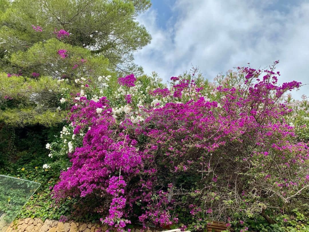 4 soveværelse Villa til salg i Callosa d'En Sarria med swimmingpool - € 525.000 (Ref: 8200305)