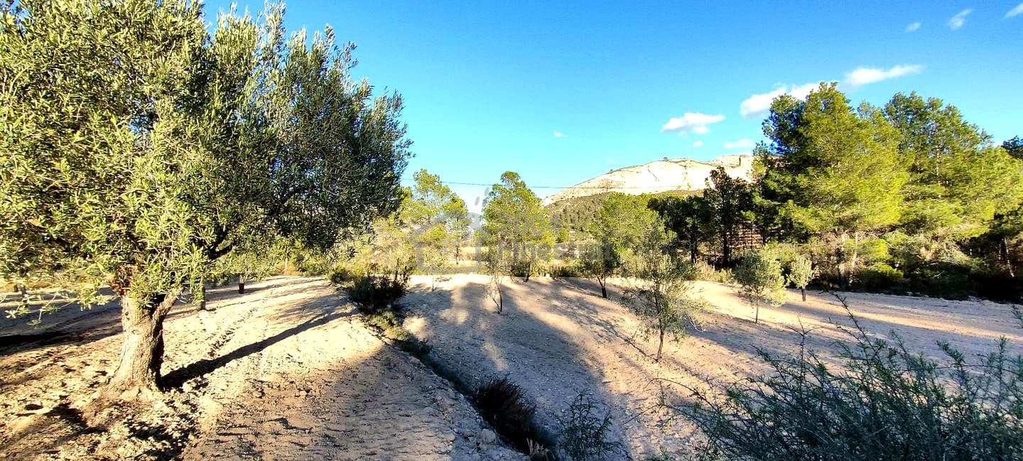 Grunde uden byggetilladelser til salg i Relleu - € 65.000 (Ref: 8653424)