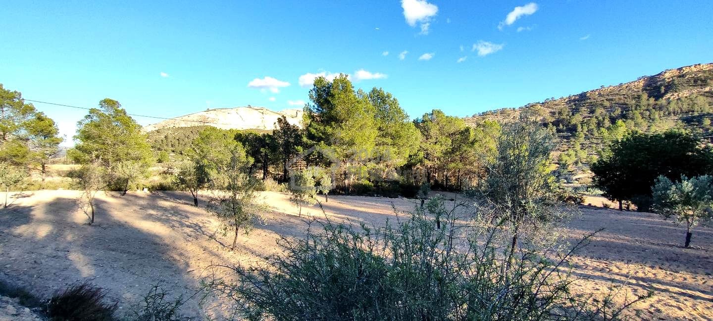 Grunde uden byggetilladelser til salg i Relleu - € 65.000 (Ref: 8653424)