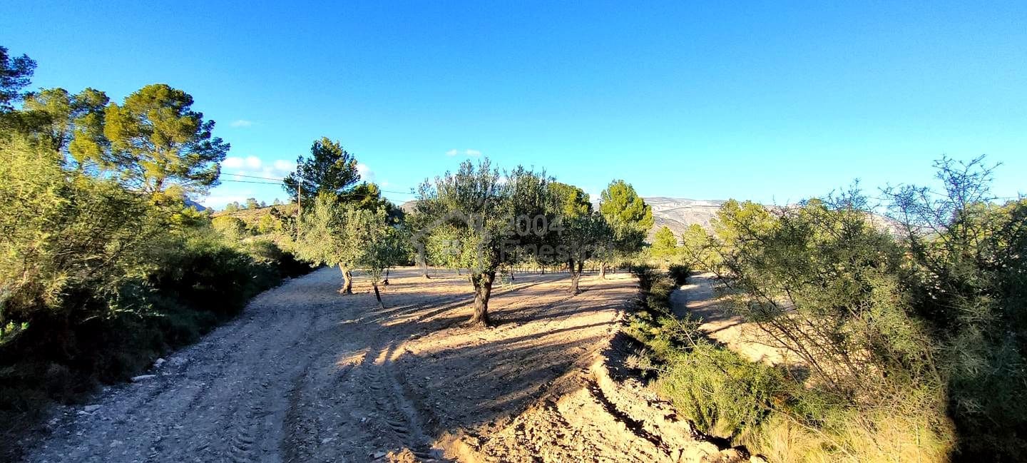 Grunde uden byggetilladelser til salg i Relleu - € 65.000 (Ref: 8653424)