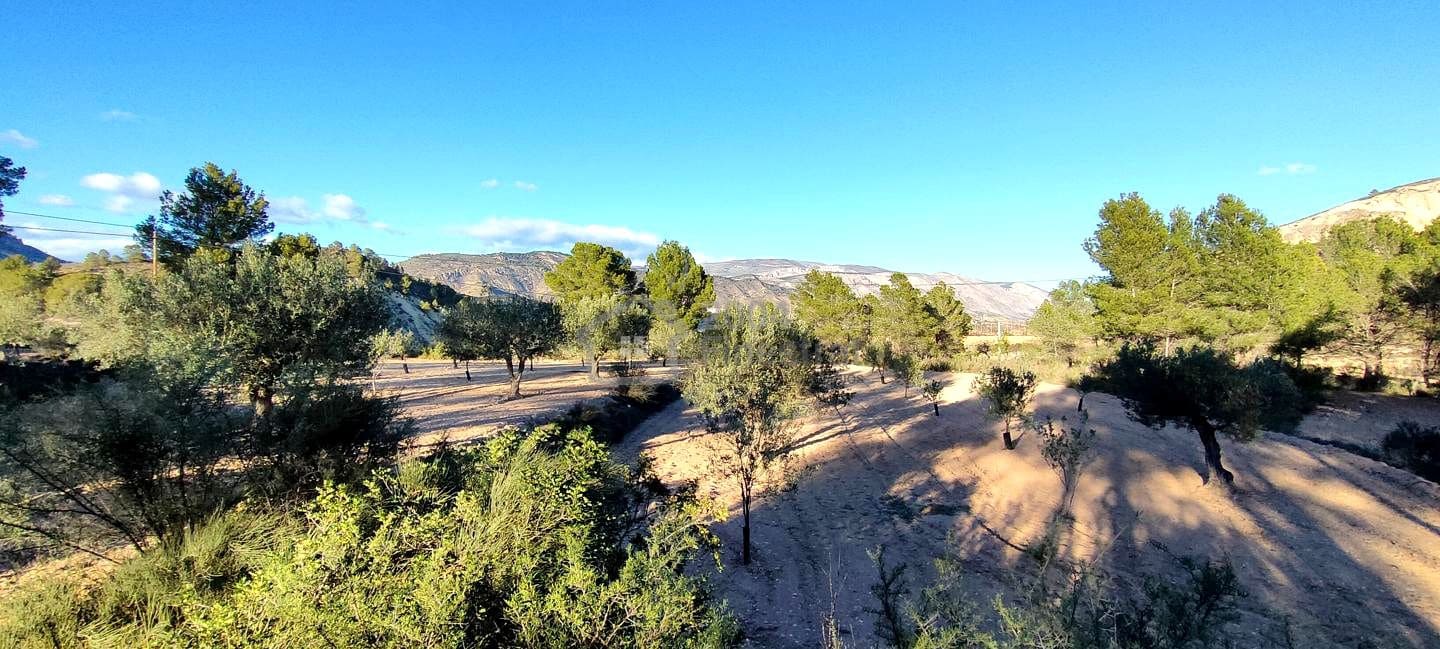 Grunde uden byggetilladelser til salg i Relleu - € 65.000 (Ref: 8653424)