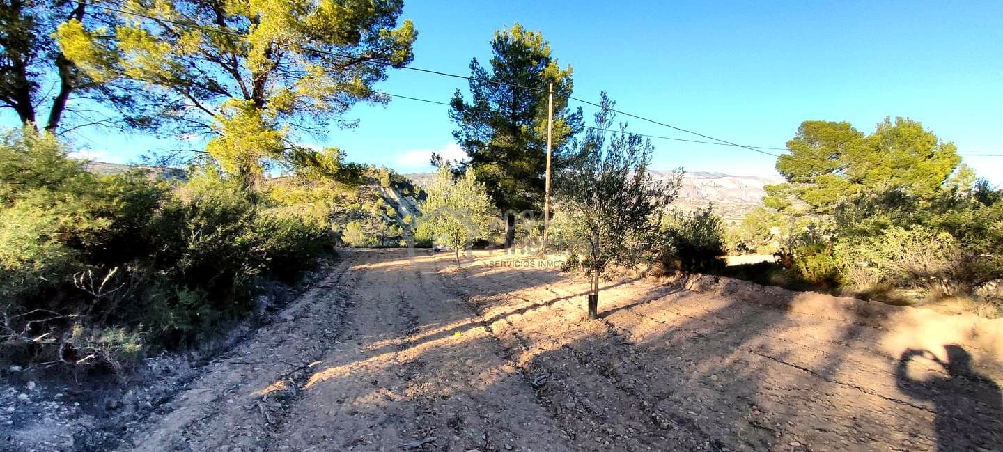 Grunde uden byggetilladelser til salg i Relleu - € 65.000 (Ref: 8653424)