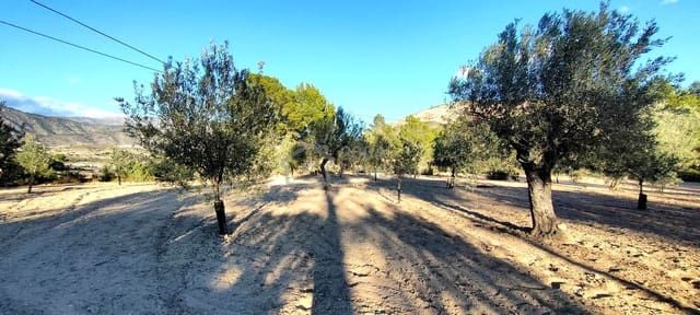 Grunde uden byggetilladelser til salg i Relleu - € 65.000 (Ref: 8653424)