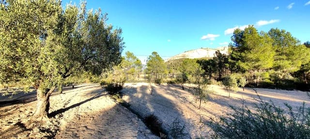 Grunde uden byggetilladelser til salg i Relleu - € 65.000 (Ref: 8653424)