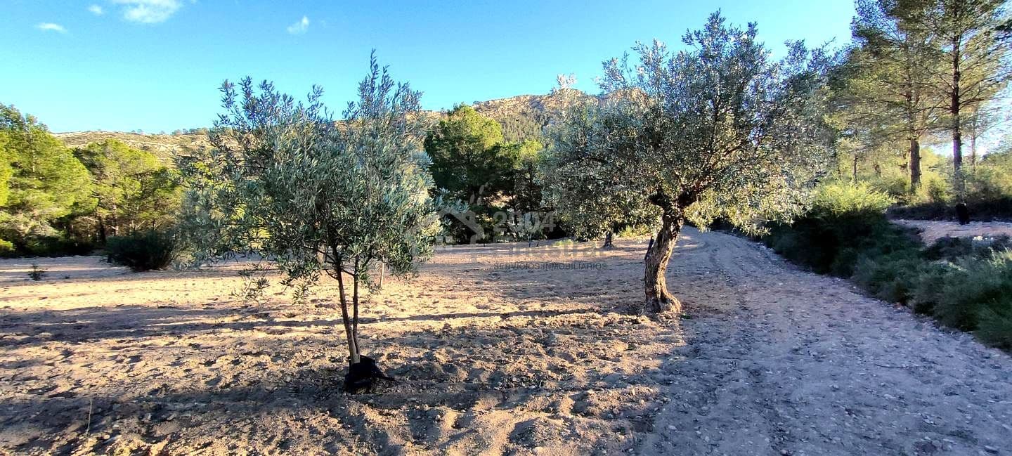 Grunde uden byggetilladelser til salg i Relleu - € 65.000 (Ref: 8653424)