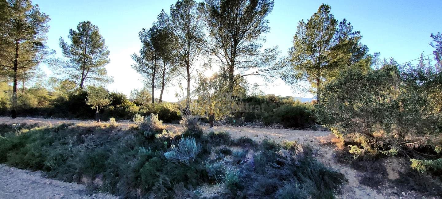 Grunde uden byggetilladelser til salg i Relleu - € 65.000 (Ref: 8653424)