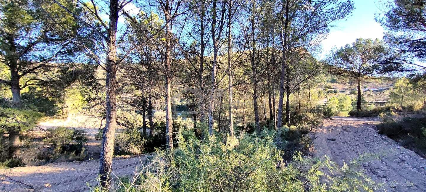 Grunde uden byggetilladelser til salg i Relleu - € 65.000 (Ref: 8653424)