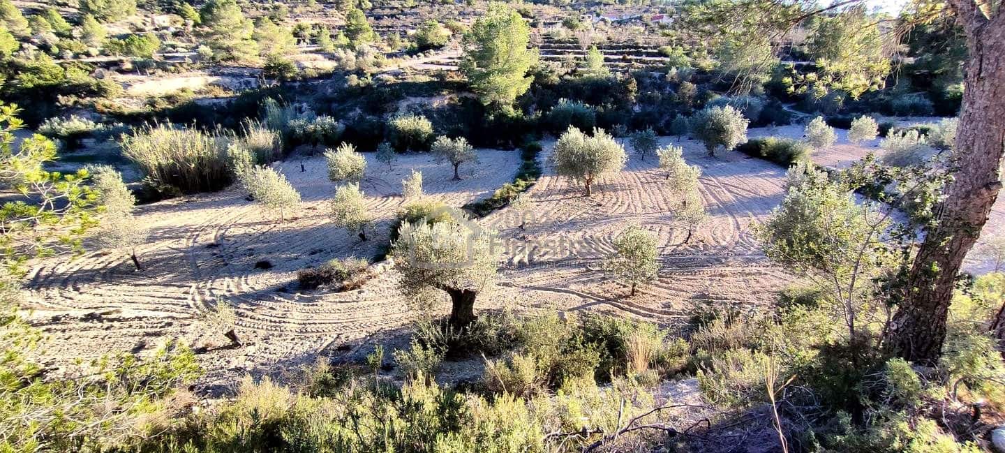 Grunde uden byggetilladelser til salg i Relleu - € 65.000 (Ref: 8653424)