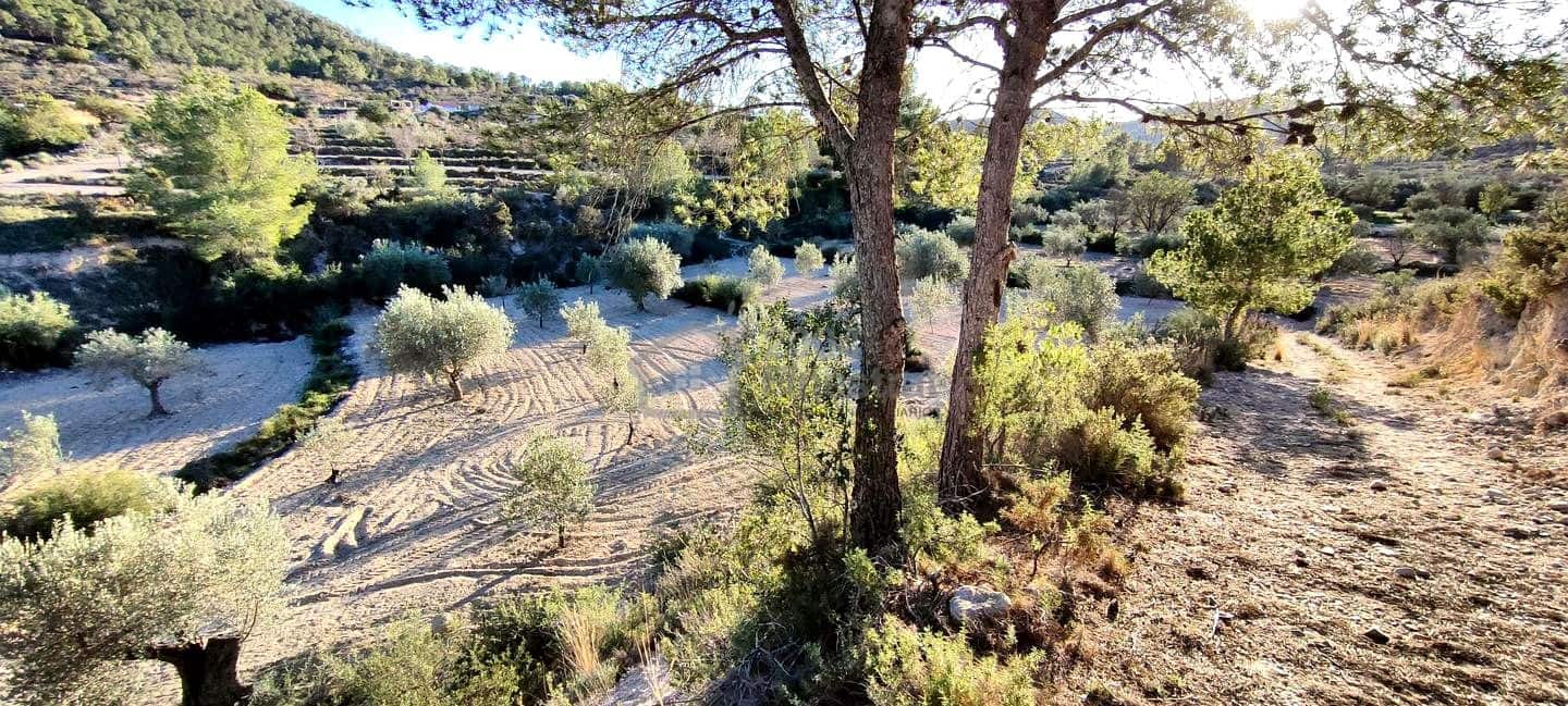 Grunde uden byggetilladelser til salg i Relleu - € 65.000 (Ref: 8653424)