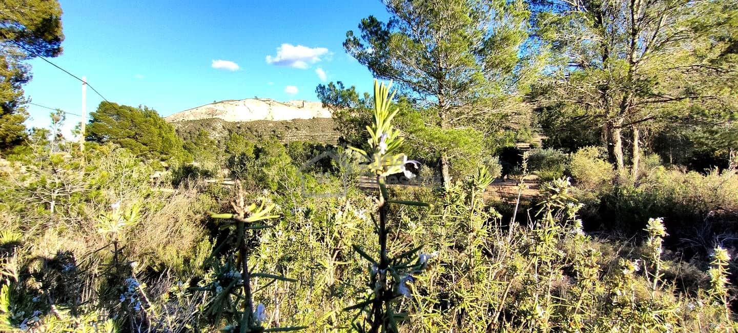 Grunde uden byggetilladelser til salg i Relleu - € 65.000 (Ref: 8653424)