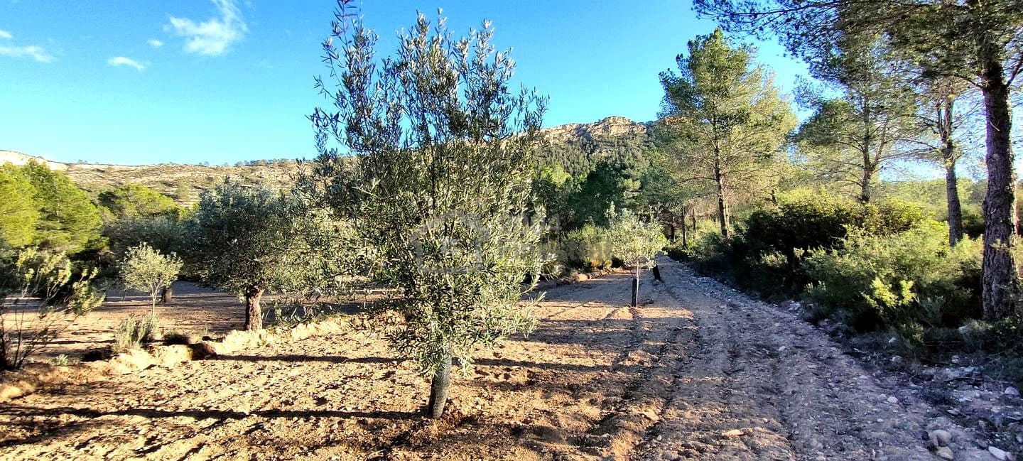 Grunde uden byggetilladelser til salg i Relleu - € 65.000 (Ref: 8653424)