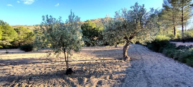 Grunde uden byggetilladelser til salg i Relleu - € 65.000 (Ref: 8653424)