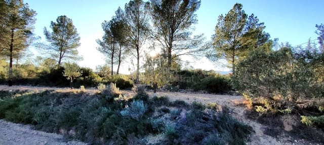 Grunde uden byggetilladelser til salg i Relleu - € 65.000 (Ref: 8653424)