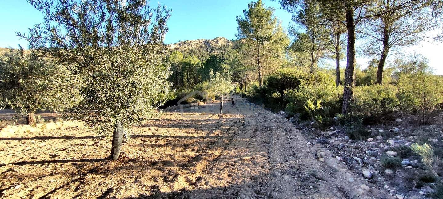 Grunde uden byggetilladelser til salg i Relleu - € 65.000 (Ref: 8653424)