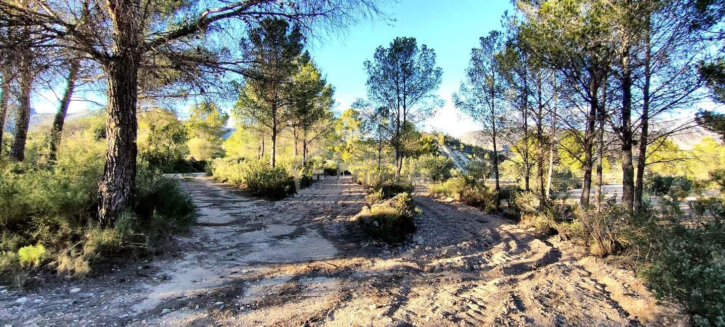 Grunde uden byggetilladelser til salg i Relleu - € 65.000 (Ref: 8653424)