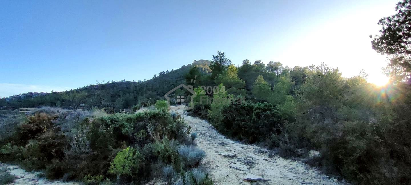 Grond te koop in Relleu - € 39.000 (Ref: 8653604)