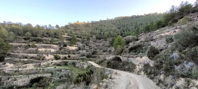 Grond te koop in Relleu - € 39.000 (Ref: 8653604)