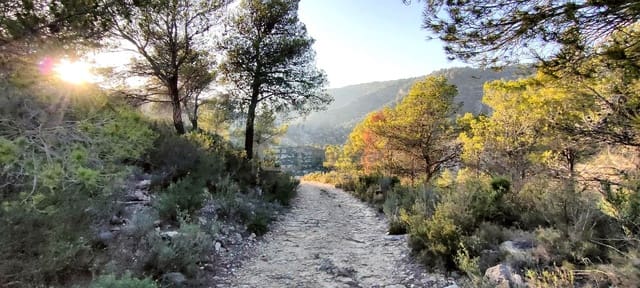 Grond te koop in Relleu - € 39.000 (Ref: 8653604)