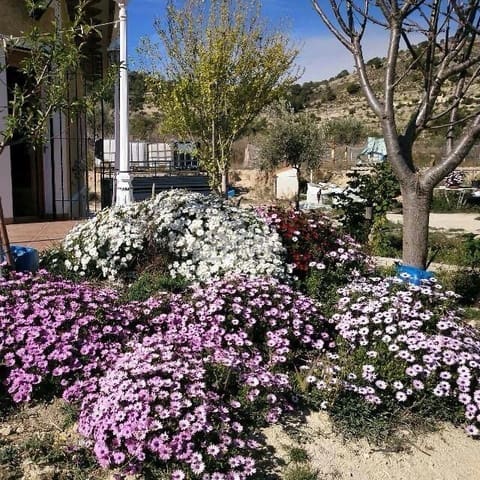 2 bedroom Villa for sale in Relleu - € 295,000 (Ref: 8814982)