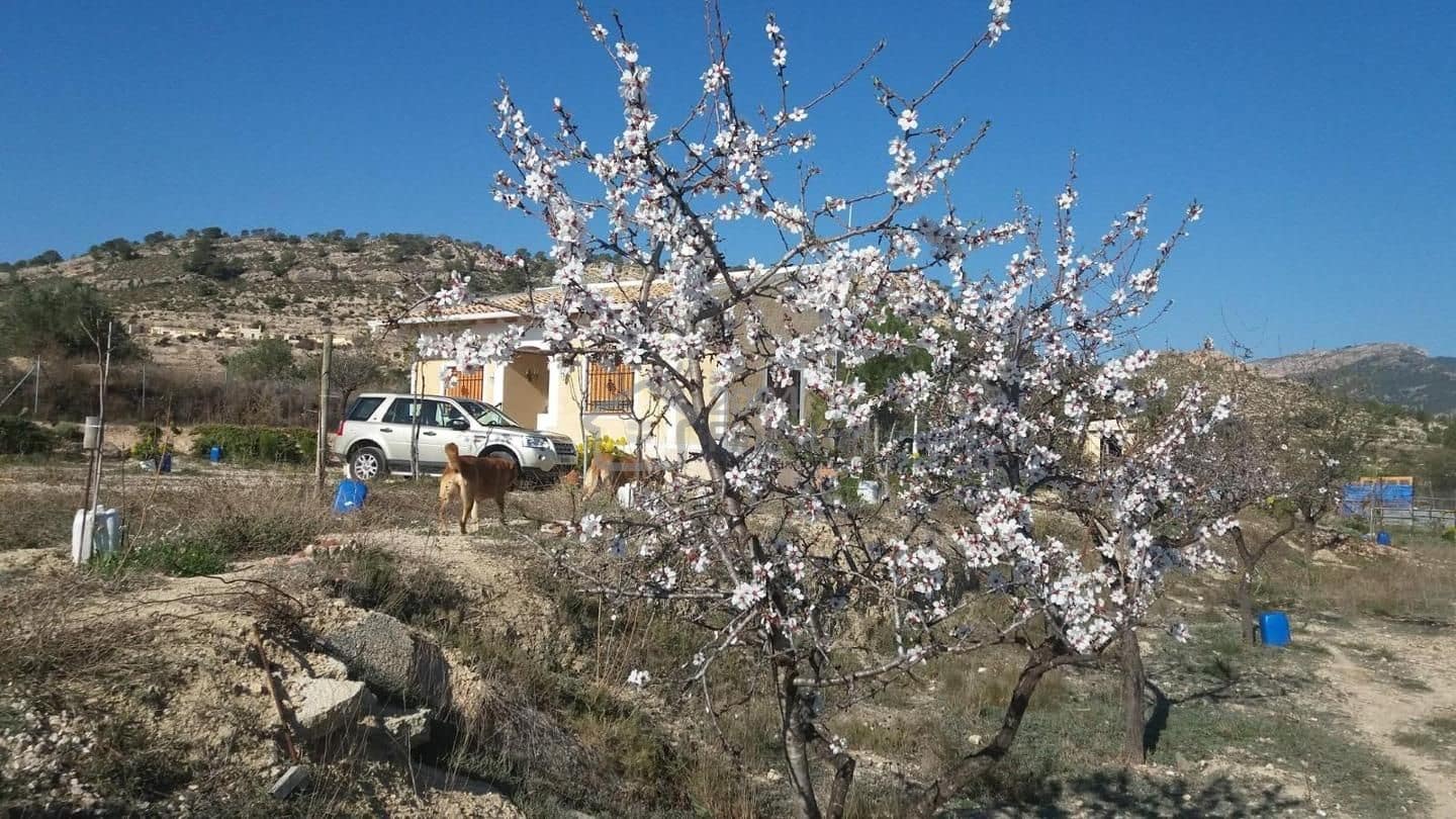 2 soverom Villa til salgs i Relleu - € 295 000 (Ref: 8814982)