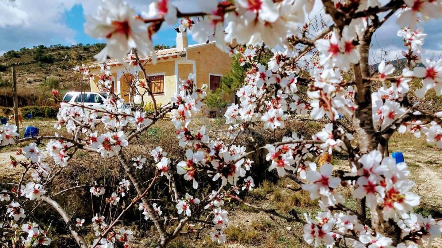 2 soverom Villa til salgs i Relleu - € 295 000 (Ref: 8814982)