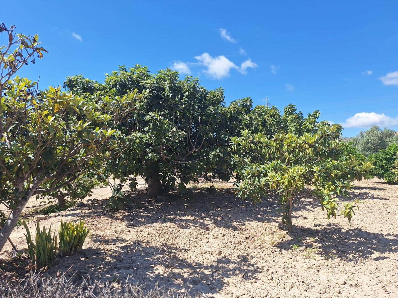 6 soveværelse Villa til salg i La Villajoyosa / Vila Joiosa med swimmingpool - € 308.500 (Ref: 8835502)