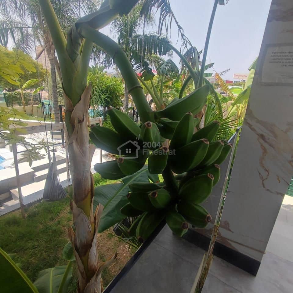 2 soveværelse Lejlighed til salg i Finestrat - € 275.000 (Ref: 9109408)