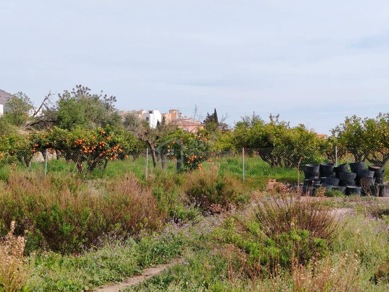 Teren niezagospodarowany na sprzedaż w Finestrat - 65 000 € (Ref: 9720722)