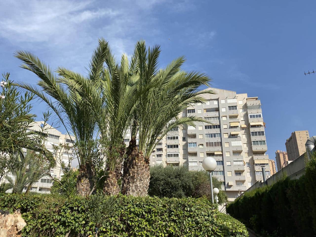 2 bedroom Flat for sale in Benidorm with pool garage - € 268,000 (Ref: 9879891)