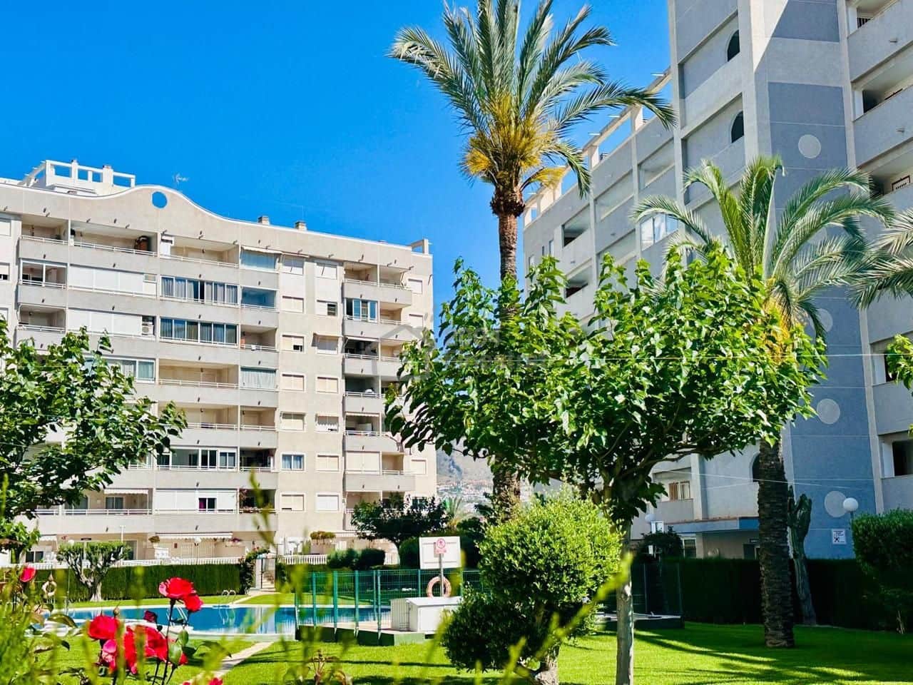 1 camera da letto Appartamento da affittare in La Villajoyosa / Vila Joiosa con piscina garage - 550 € (Rif: 9880308)