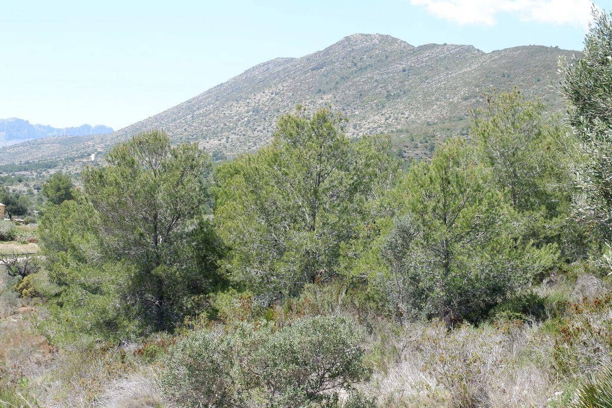 Building Plot for sale in Benissa - € 149,000 (Ref: 7498817)