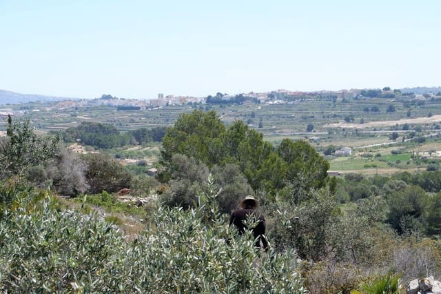 Building Plot for sale in Benissa - € 149,000 (Ref: 7498817)