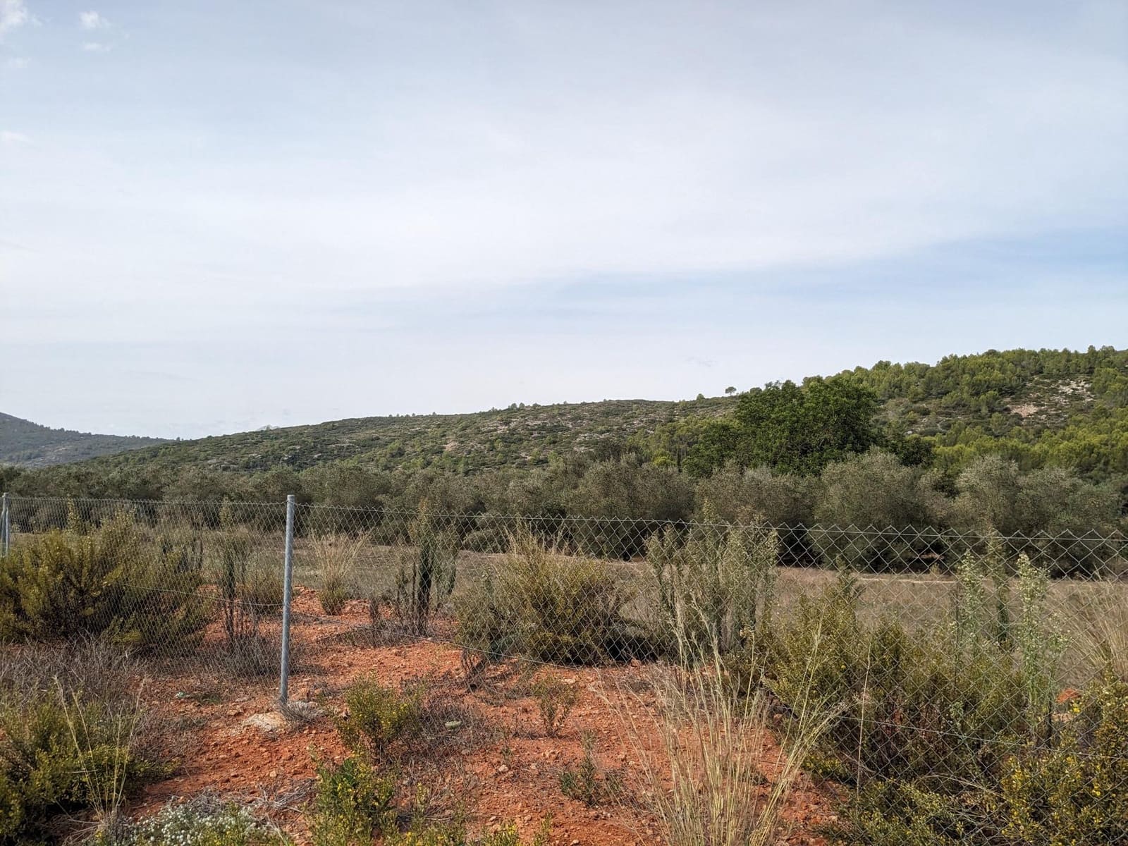 Bouwgrond te koop in Alcalali / Alcanali - € 190.000 (Ref: 7862259)