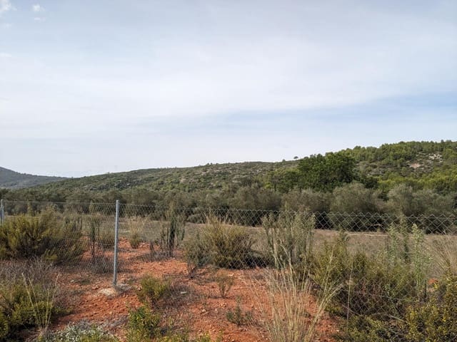 Bouwgrond te koop in Alcalalí / Alcanalí - € 190.000 (Ref: 7862259)