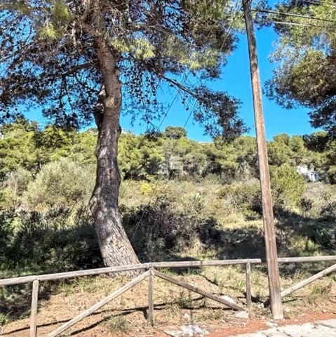 Area Edificabile in vendita in Javea / Xàbia - 250.000 € (Rif: 9738901)