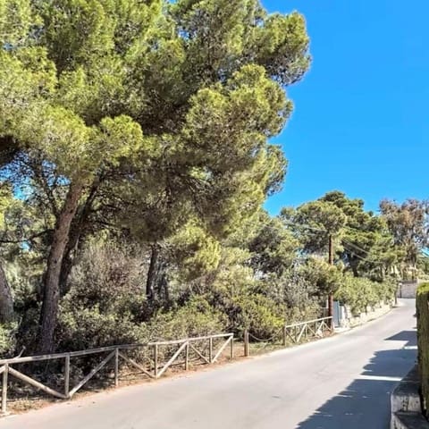 Area Edificabile in vendita in Javea / Xàbia - 250.000 € (Rif: 9738901)